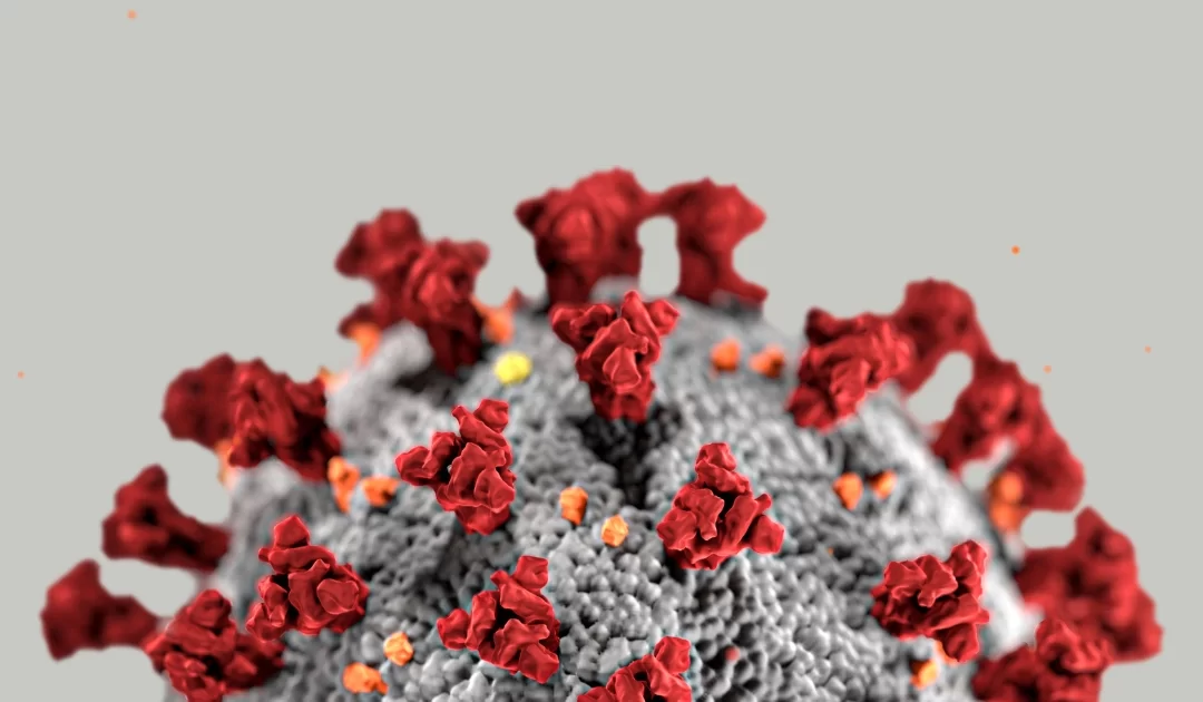 Diversidade de Paixões na Infectologia: Uma Jornada pelos Microrganismos